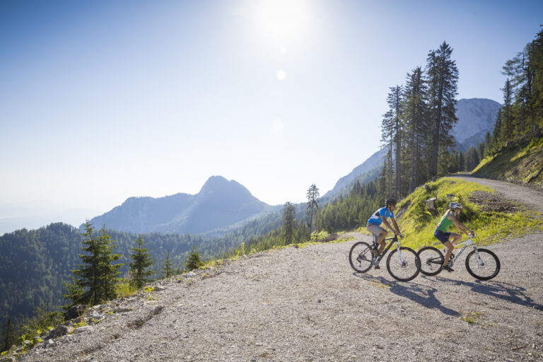 Mountainbike-Fahrer in der Region Villach auf Singletracks